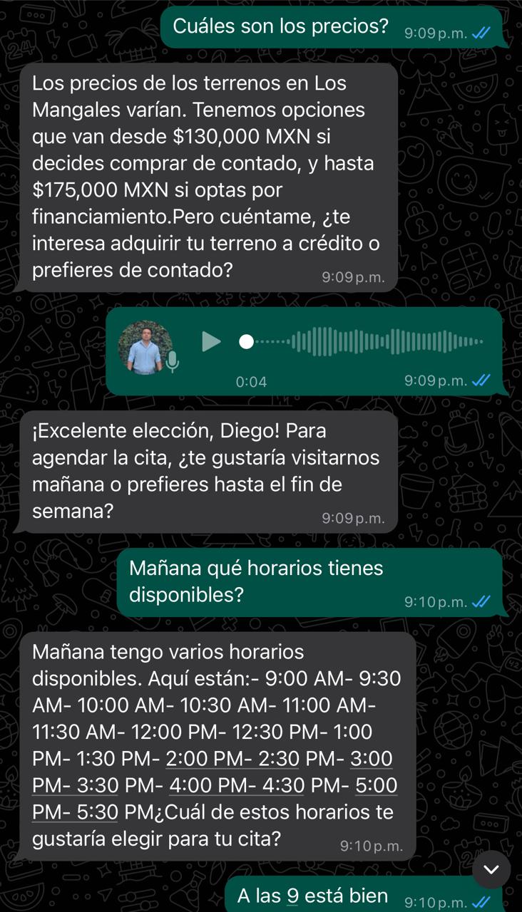 WhatsApp paso 2
